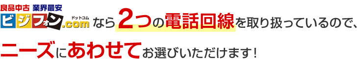 ビジフォン.comなら2つの電話回線を取り扱っているので、ニーズにあわせてお選びいただけます！